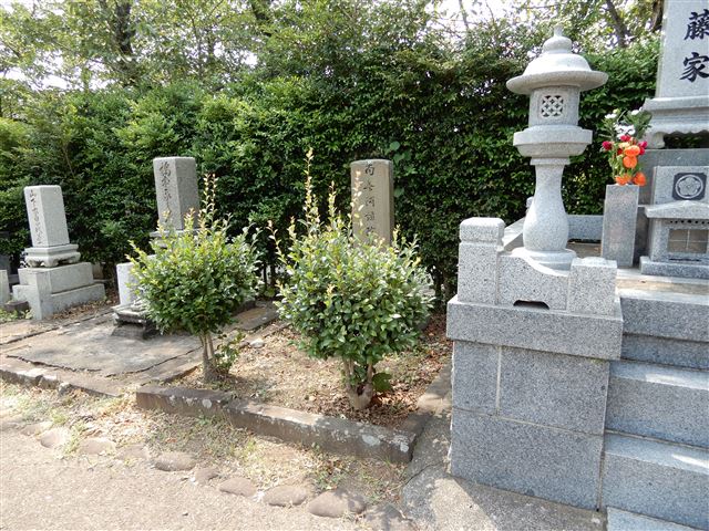 画像の説明 画像の説明