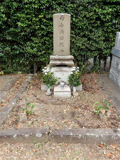 画像の説明 画像の説明