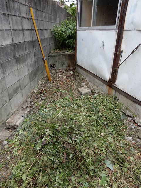 画像の説明