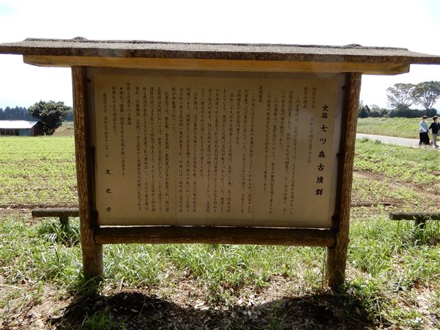 画像の説明