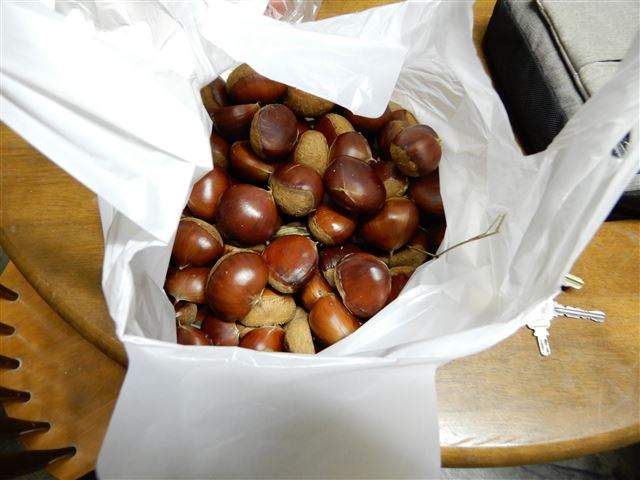 画像の説明