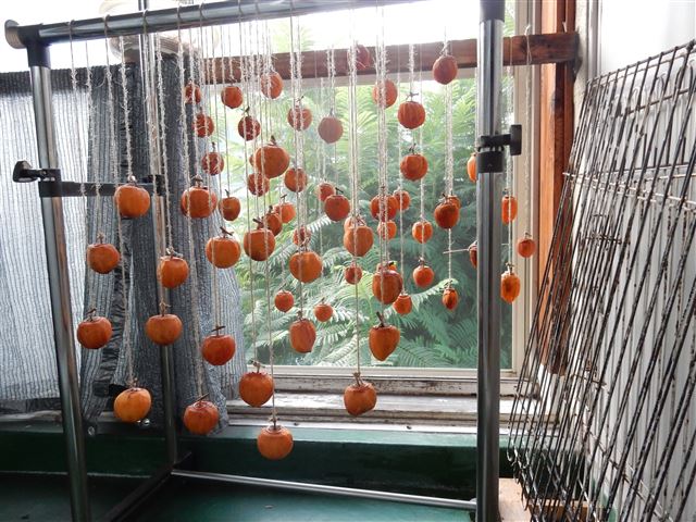 画像の説明