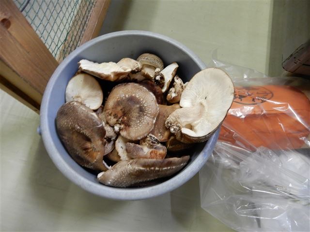 画像の説明