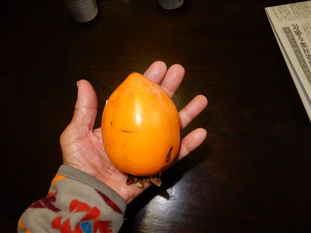 画像の説明 画像の説明