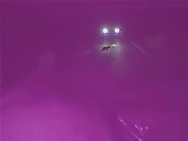 画像の説明