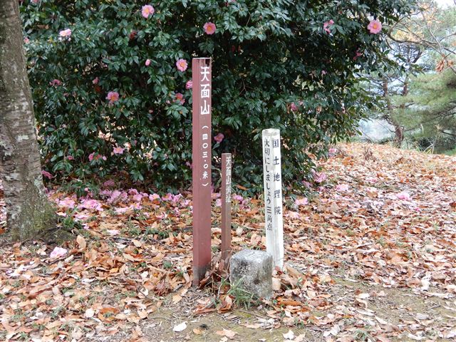 画像の説明