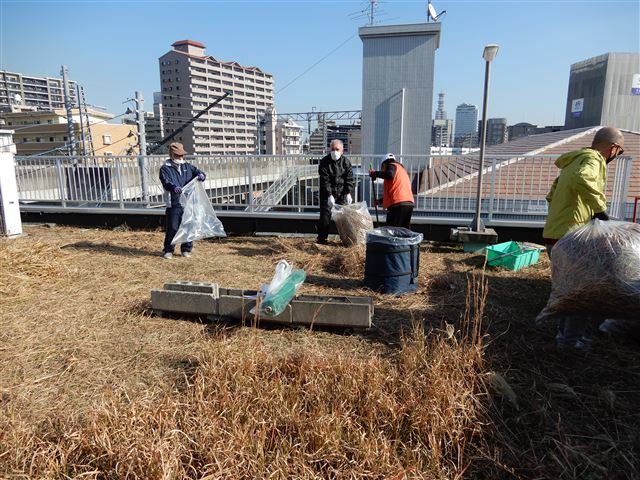 画像の説明