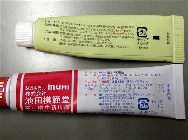 画像の説明