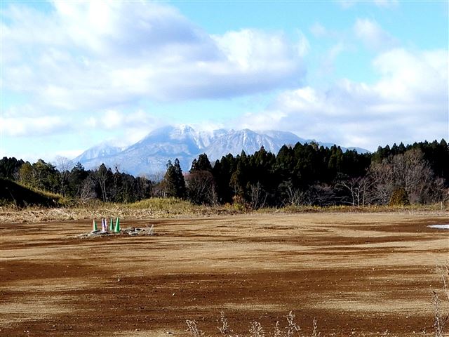 画像の説明