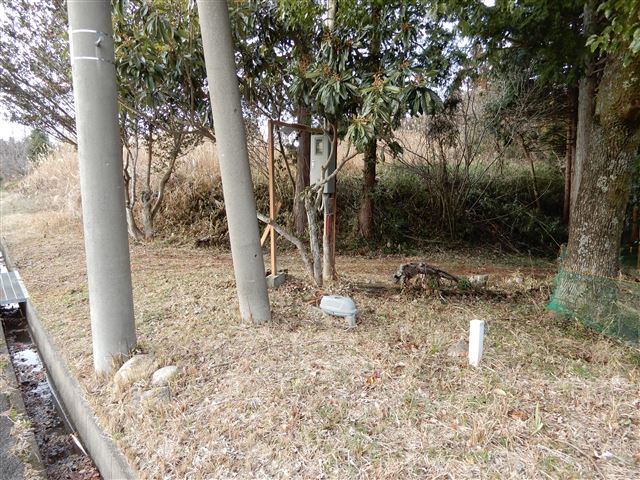 画像の説明