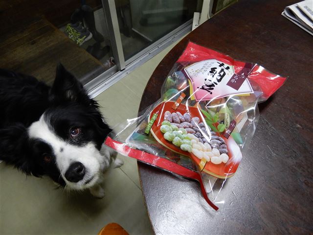 画像の説明