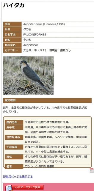 画像の説明