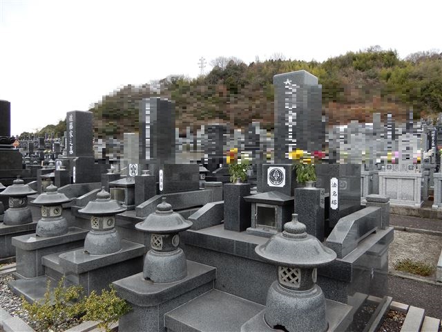 画像の説明