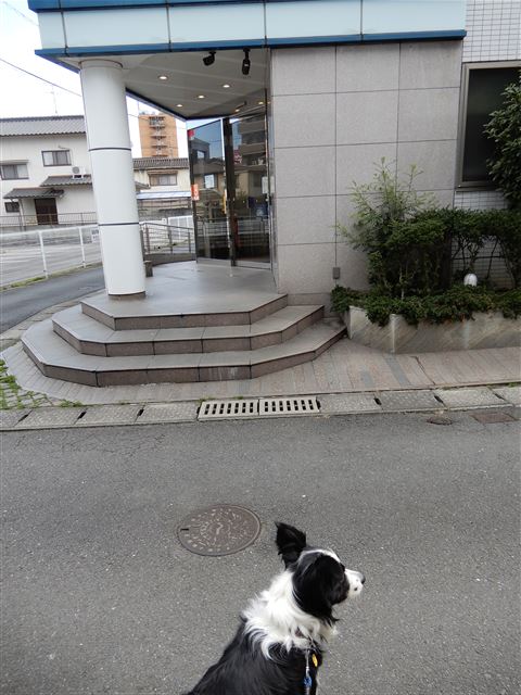 画像の説明