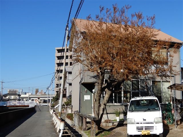 画像の説明