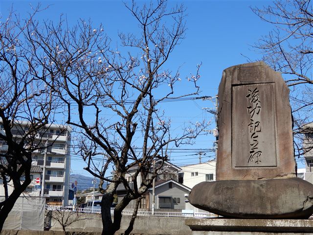 画像の説明
