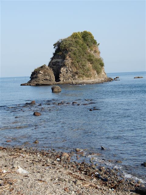 画像の説明
