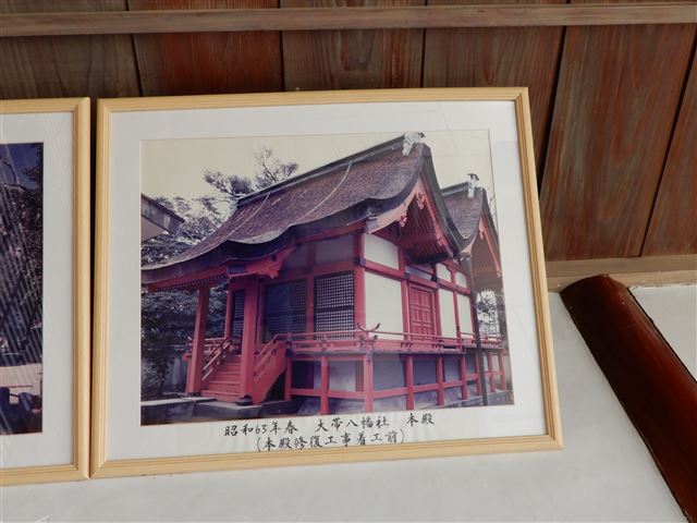 画像の説明
