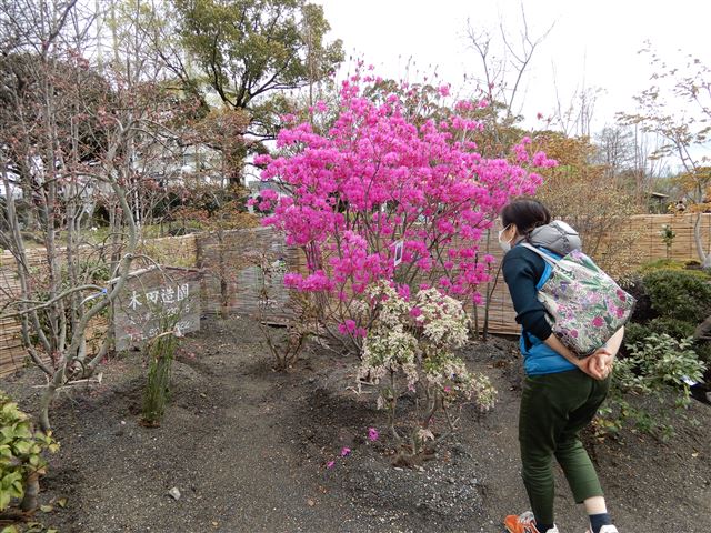 画像の説明
