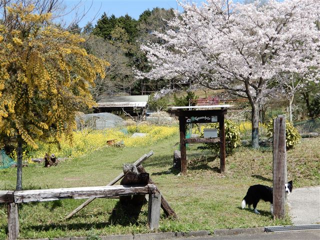 画像の説明