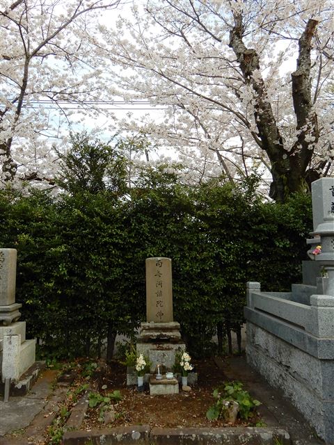 画像の説明
