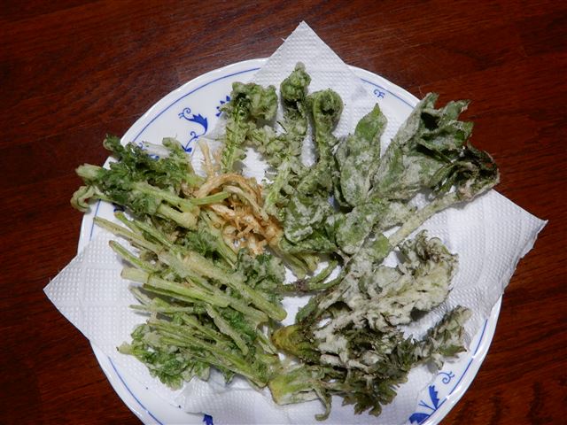 画像の説明