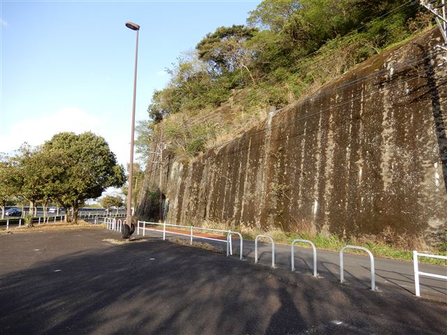 画像の説明