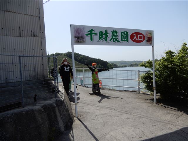 画像の説明