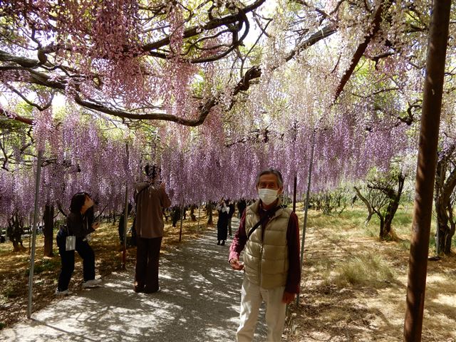 画像の説明