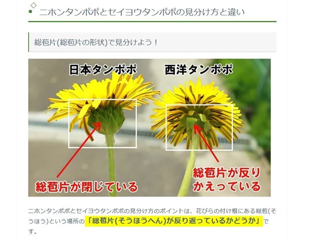 画像の説明 画像の説明