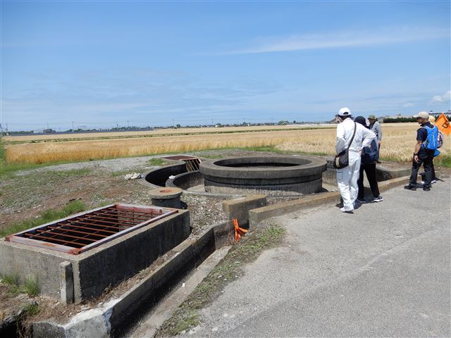 画像の説明 画像の説明