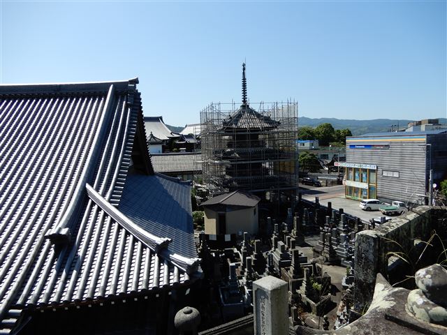 画像の説明