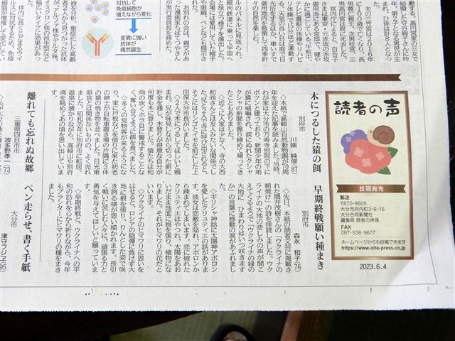 画像の説明
