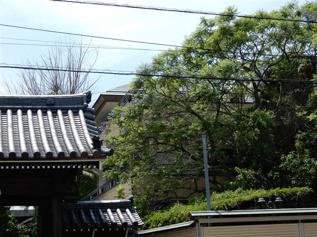 画像の説明