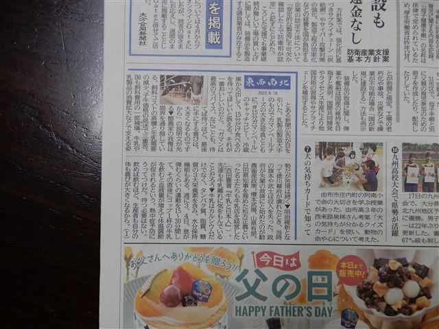 画像の説明