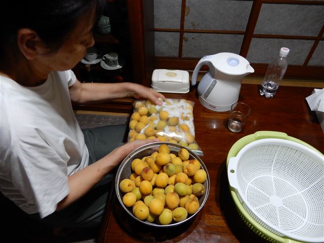 画像の説明