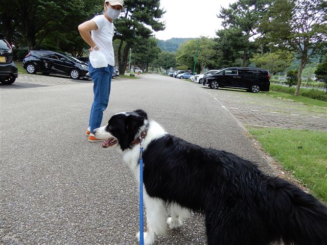 画像の説明
