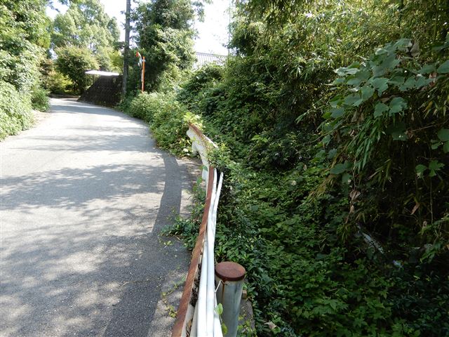 画像の説明