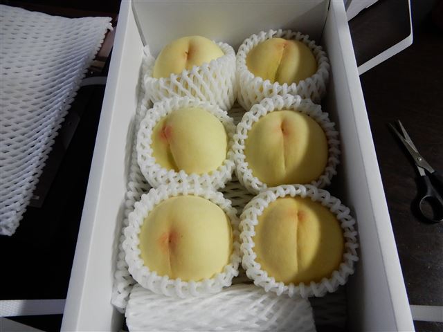 画像の説明