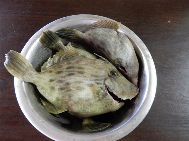 画像の説明
