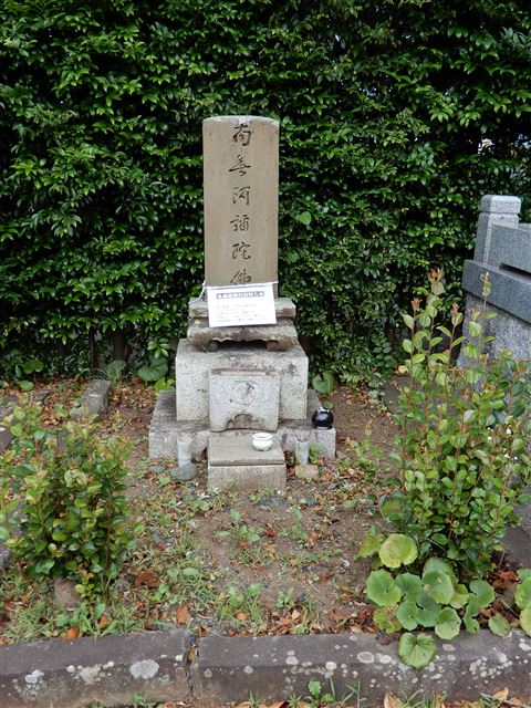画像の説明