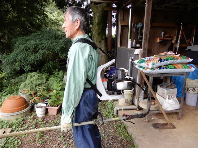画像の説明