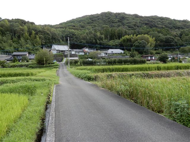 画像の説明