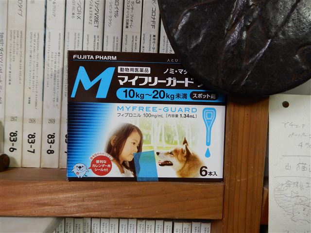 画像の説明