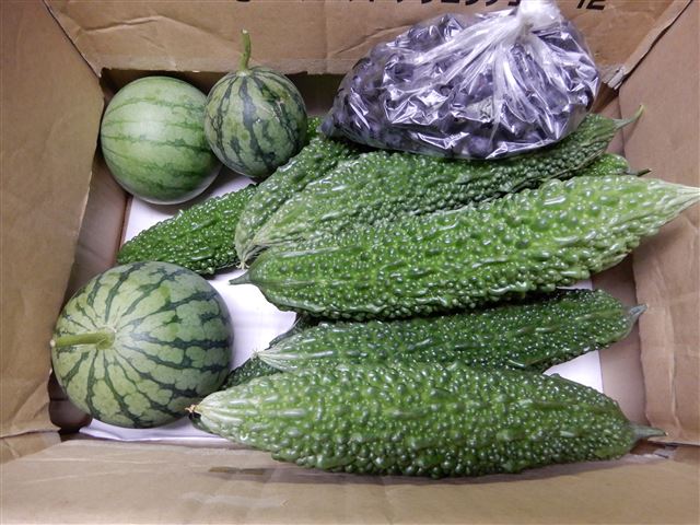 画像の説明