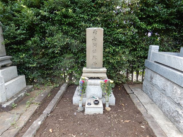 画像の説明