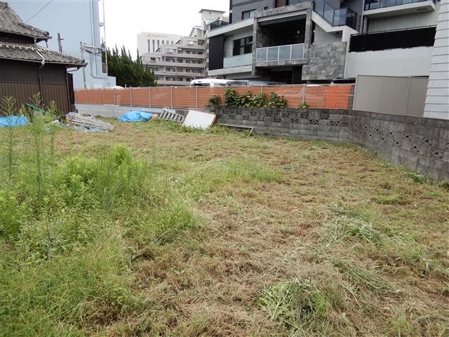 画像の説明 画像の説明