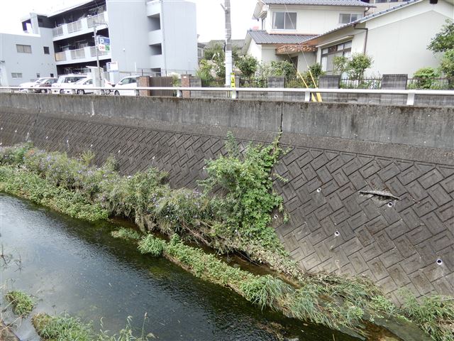 画像の説明 画像の説明