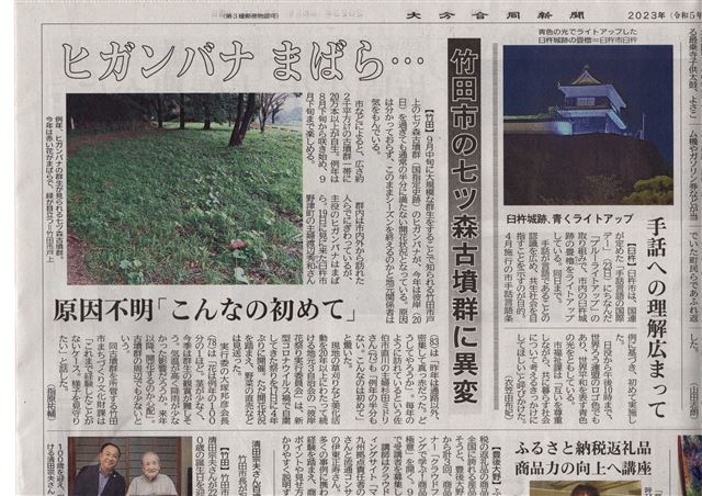 画像の説明