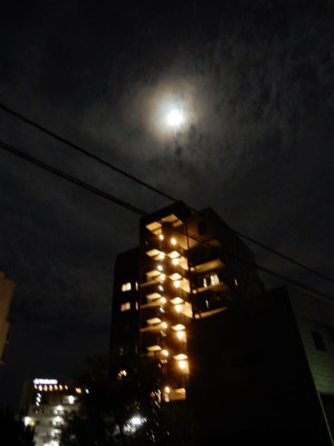画像の説明